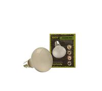Komodo Ampoule spot pour reptiles - Température réglable - Durable - Chauffage de jour et de nuit - Pour vivarium, terrarium et cage - 100 W - 82236