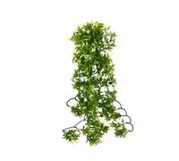 Komodo Croton Artificiel 60 cm