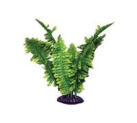 Komodo Fougère Artificielle Boston 25 cm