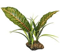 Komodo Tropical Canopy pour Reptile/Amphibien