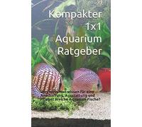 Kompakter 1x1 Aquarium Ratgeber: Was Muss Man Wissen Fuer Eine Anschaffung, Ausstattung Und Pflege? Welche Aquarium Fische?