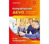 Kompaktwissen Aevo In Vier Handlungsfeldern