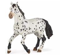 Koń Appaloosa Papo
