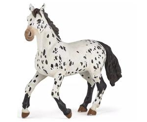 Koń Appaloosa Papo