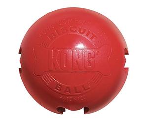 Kong Balle pour Chien Taille L