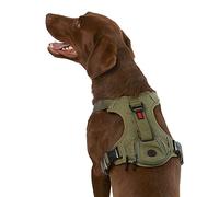 KONG Harnais pour sacs poubelle ultra durable (XL, vert)