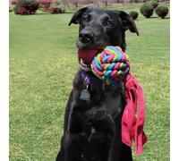 KONG Jouets pour chiens Aqua KONG Wubba Weaves L