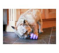 KONG Jouets pour chiens KONG Senior Small