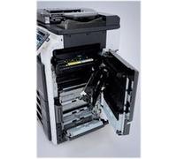 Konica Minolta DV-311M - Magenta - développeur - pour bizhub C220, C280, C360