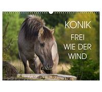 Konik - Frei geboren (Wandkalender 2026 DIN A3 quer), CALVENDO Monatskalender: Der Konik - dem ausgestorbenen Wildpferd Europas sehr ähnlich - auf 13 wundervollen Fotos