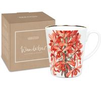Konitz Merveilleux dans un coffret cadeau Laelia superbiens