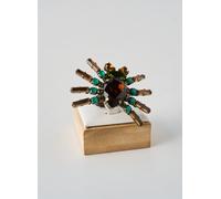 konplott bijoux femme de couleur vert