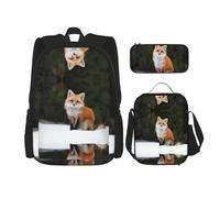 KoNsev Funny Fox Lot de 3 sacs à dos d'école préscolaire 40,6 cm et boîte à déjeuner pour enfant du primaire, Noir , Taille unique, Ensemble cartable