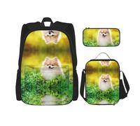 KoNsev Lot de 3 sacs à dos pour école préscolaire et boîte à déjeuner Motif chiot mignon à Spring Park 40,6 cm, Noir , Taille unique, Ensemble cartable