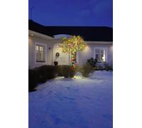 Micro-Guirlande Led Multicolore 180 Lampes Noir