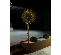Konstsmide 3640-810 Micro guirlande lumineuse pour l'extérieur CEE: G (A - G) sur secteur Nombre de lumière 120 LED ambré