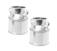 KONTONTY 2 Pièces Seau à Fleurs Vintage en Fer Galvanisé Argenté, Mini Pot à Fleurs Décoratif pour Organiser Petits Objets, pour Fenêtres et Terrasse
