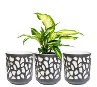KONZEPT Lot de 3 petits pots de fleurs, en plastique, diamètre : 14 cm, pour plantes d'intérieur, en plastique