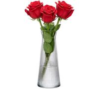 KONZEPT Vase en verre - 25 cm de haut - Vase moderne rainuré - Petit vase décoratif pour herbe de la pampa, tulipes et fleurs séchées