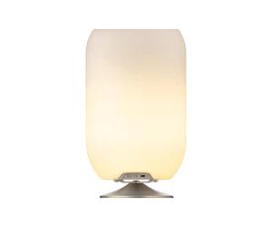 Kooduu Atmos Lampe d'Enceinte Portable - Lumière LED dimmable, Haut-Parleur Bluetooth sans Fil avec Support de Bouteille de vin intégré - Décoration d'intérieur et d'extérieur, Argent Dépoli
