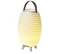 Kooduu Synergy 35 Lampe d'Enceinte Portable avec Rafraîchisseur de Vin - Lumière LED, Haut-Parleur sans Fil Bluetooth et Support de Bouteille de Vin - Décoration Intérieure et Extérieure, Small