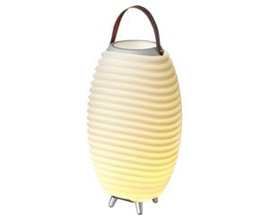 Kooduu Synergy 50 - Enceinte Bluetooth avec Lampe - Refroidisseur à Vin | Compartiment réfrigérant de 2 L - Intensité lumineuse à 4 niveaux - Jusqu'à 10 heures d'autonomie - Couplage TWS - 2700 K