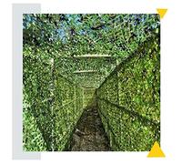 KOOEIN Filet de Camouflage,2x2m,2x3m,Filet de Camouflage pour la Chasse,Filet Militaire Double Couche,Filet de Camouflage en Vrac,Filet d'ombrage,Filet de Camouflage Vert,Green-1.5×8m/4.9×26.2ft