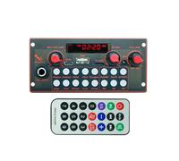 Koolenry Carte Décodeur MP3 2 * 10W Amplificateur 20W Lecteur Audio 5V DIY MP3 Lecteur Module Radio FM pour Voiture TF USB Enregistrement Microphone Bluetooth 5.3 B