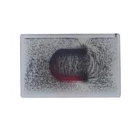 Koolenry Instrument de Démonstration Scientifique Induction Magnétique du Plan Physique pour la Démonstration de l'enseignement