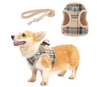 KOOLTAIL Ensemble harnais et laisse pour chiens de petite et moyenne taille, pour dressage, en maille douce rembourrée, confortable, réglable, réfléchissant, promenade facile, pour chiot/chat, motif