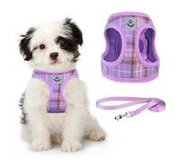 KOOLTAIL Harnais et Laisse en Maille Douce à Carreaux pour Petit Chien, réglable et Confortable avec Design réfléchissant pour Chiots et Chiens de Petite Race, pour Promenade en Plein air (Violet)