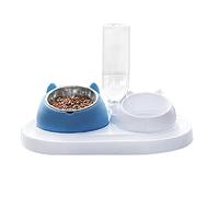 Koomiao Gamelles pour Chat, Distributeur de Croquettes et Eau pour Chat et Chien Inclinable à 15° Bols de Nourriture en Acier Inoxydable sans Déversement Bol pour Animaux de Compagnie (Bleu)