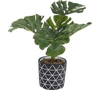 Koopman International B.V. Plante Künstliche Monstera im Blumentopf, 26 x 32 cm, 640 g