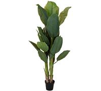 Koopman International B.V. Pot de Fleurs avec Plante de 165 cm