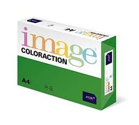 Kopierpapier A4 160g i'grün Dublin 250Bl