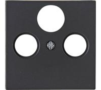 Kopp 1 pièce Cache Prise TV, radio ATHENIS anthracite 373615180 1 pc(s)