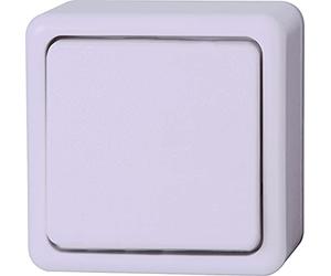 Kopp 513602005 Interrupteur Universel à encastrer Standard 10 A 250 V