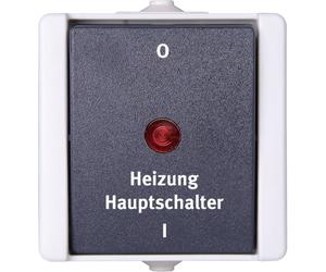 Kopp 541356004 1 pièce Gamme d'interrupteurs pour pièce humide complet Interrupteur d'arrêt d'urgence pour chauffage proAQA gris