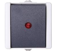 Kopp 541656003 1 pièce Gamme d'interrupteurs pour pièce humide complet Interrupteur avec témoin lumineux proAQA gris 1 pc(s)