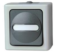 Interrupteur/inverseur Kopp 560756009 BlueElectric gris