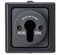 Kopp Blue Electric 561715001 Boîtier pour Interrupteur à clé Anthracite