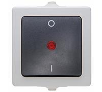 Kopp Interrupteur Nautic 565296007 2 pôles lumineux, montage en saillie, pour locaux humides Gris
