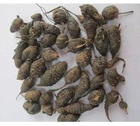 Korai Kilangu(Kizhangu) Roots/nagarmotha/Cyperus Rotundus/Nut Grass Root(Weight-100g)