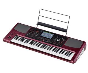 Korg Korg PA-1000