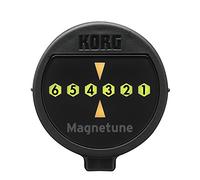 KORG Magnetune