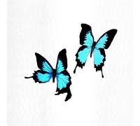 Korine - Tear [Compact Discs] Uk - Import