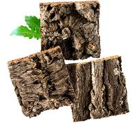 Kork-Deko Écorce de liège (Rongeur, Reptile, décoration, modélisation, modélisation, modélisme ferroviaire) liège Bois Arbre chêne (3 pièces)