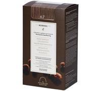 Korres Argan Oil Advanced Colorant 6.7 Cocoa Emballage(S) Combi 1 pc(s)