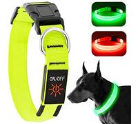 KOSKILL Collier lumineux pour chien - Rechargeable par USB - Imperméable - Collier LED lumineux - Réglable - Super lumineux - Pour promener la nuit pour chiens de petite, moyenne et grande taille