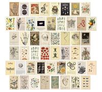 KOSKIMER Kit de collage mural vintage de 50 pièces, images esthétiques, affiches pour chambre à coucher, collage de photos de dortoir pour adolescentes, décoration murale botanique